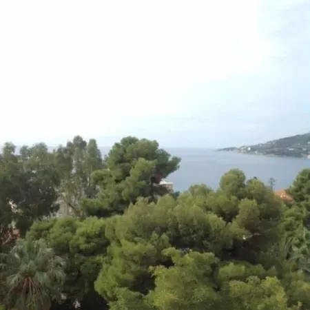 Petit Royal ホテル