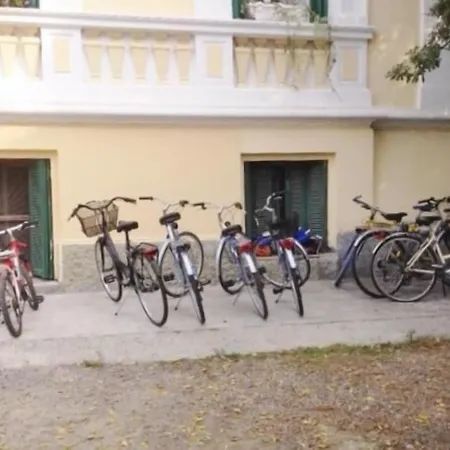 佩蒂特皇家酒店 酒店 3*